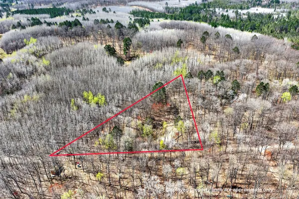 $23,900 | Lot 4 Peterson Road, Foxboro, WI 54836