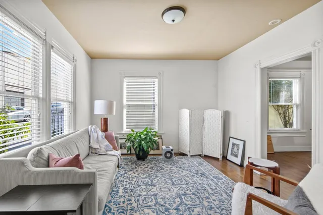 a living room with furniture and a potted plant