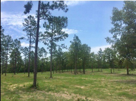 Lot15-ph7 Rembert Place Aiken, SC 29803 - Photo 1 of 1