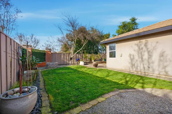 a view of a backyard with potted plants and a palm tree
