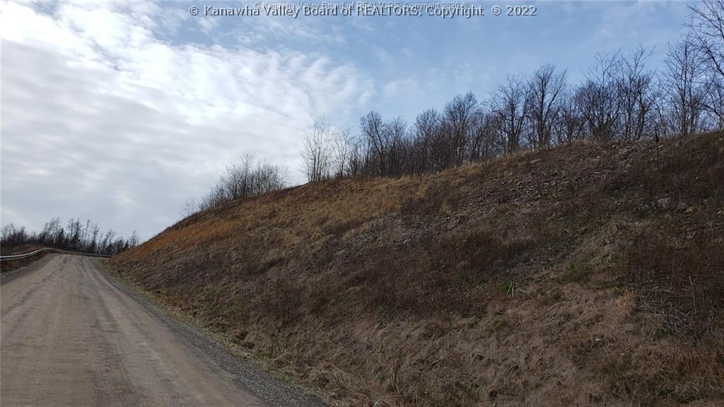0 Surveyor Creek Road Lester, WV 25865 - Photo 2 of 22 Gallery Image 2