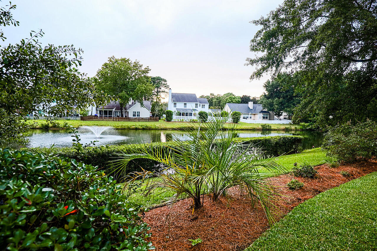 588 Antebellum Lane Mount Pleasant, SC 29464 - Photo 40 of 49 Backyard