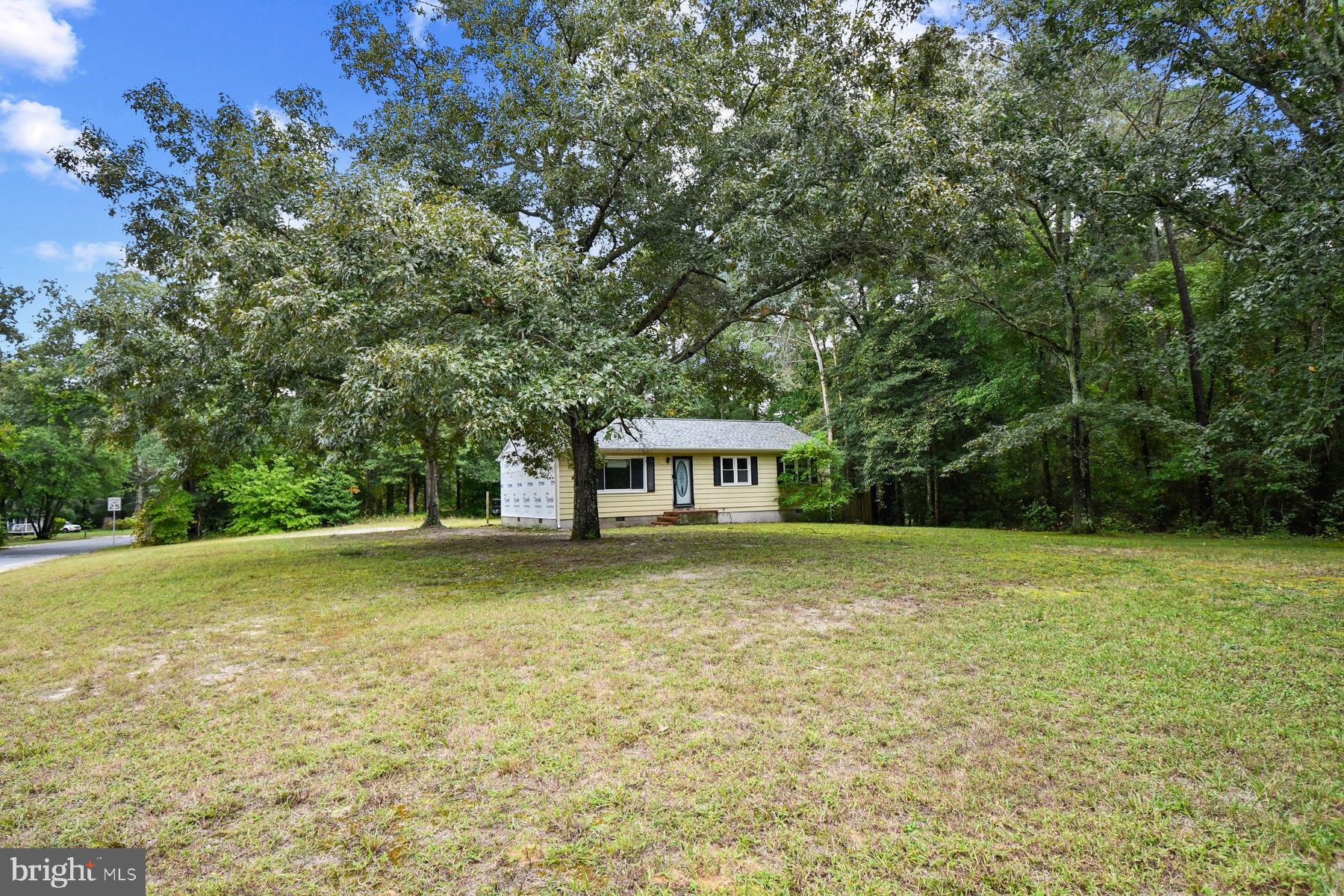 32548 Mt Olive Road Salisbury, MD 21804 - Photo 16 of 16 a house with trees in the background