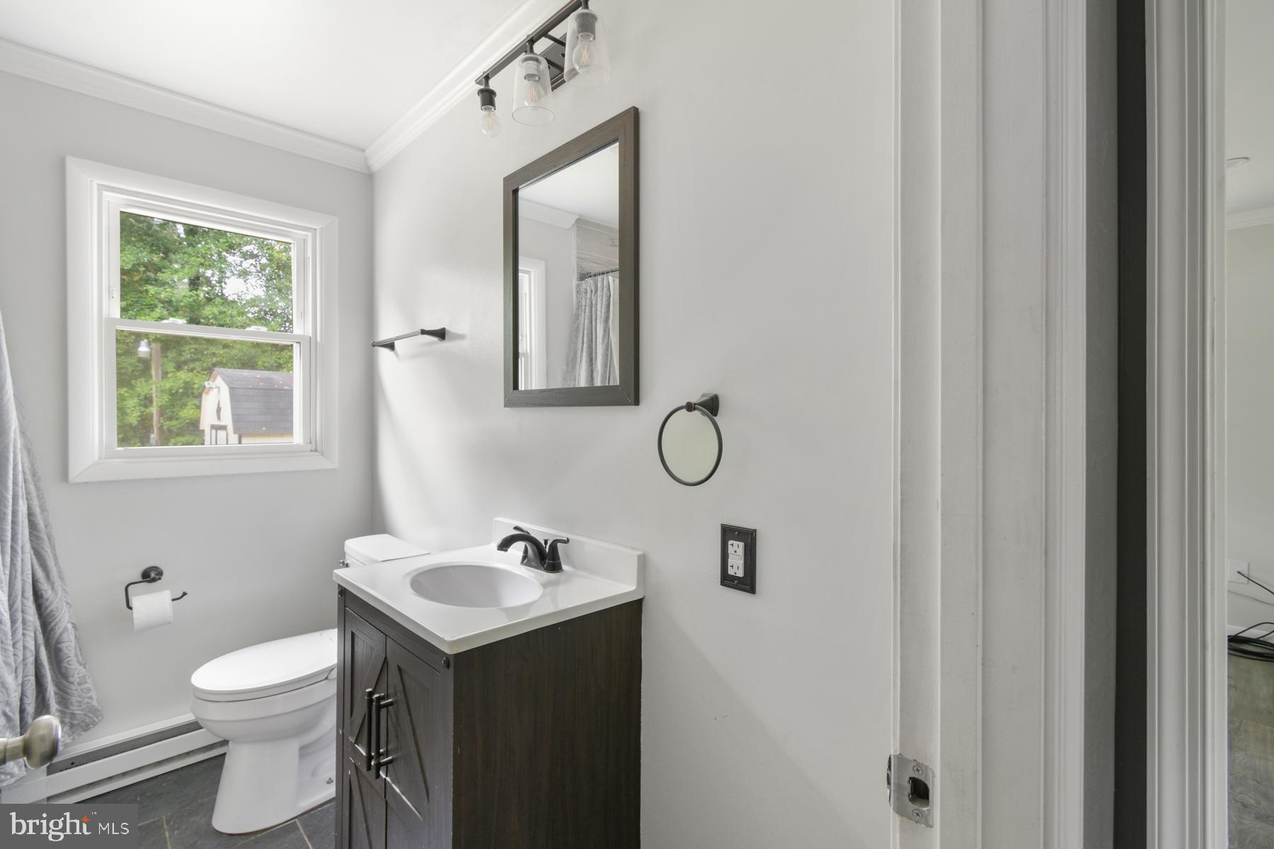 32548 Mt Olive Road Salisbury, MD 21804 - Photo 6 of 16 a bathroom with a toilet sink and mirror