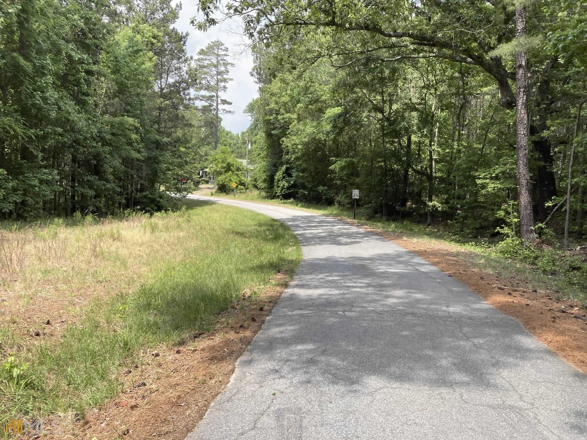 0 Pippin Road Hillsboro, GA 31038 - Photo 1 of 1 Gallery Image 1