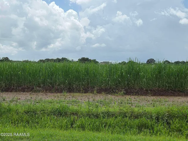 $785,850 | 8200 Fusilier Road, Maurice, LA 70555