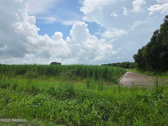 $785,850 | 8200 Fusilier Road, Maurice, LA 70555