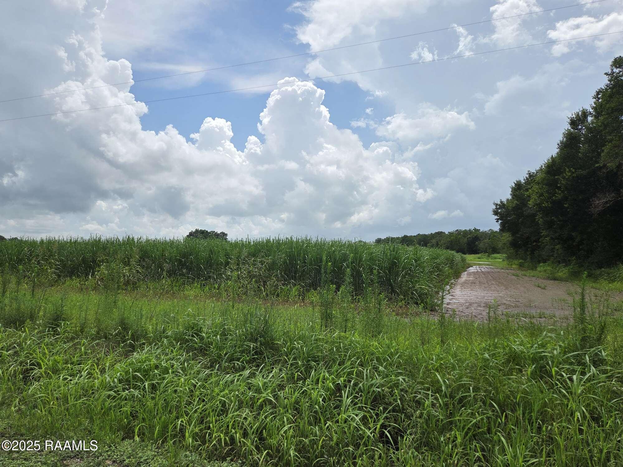 8200 Fusilier Road Maurice, LA 70555 - Photo 13 of 16 11
