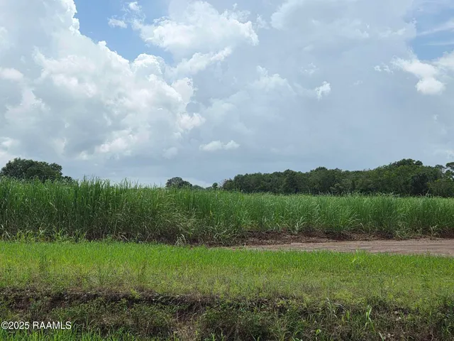 $785,850 | 8200 Fusilier Road, Maurice, LA 70555