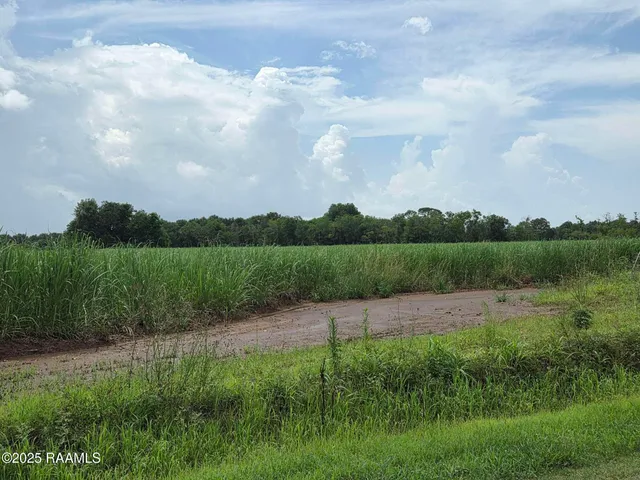 $785,850 | 8200 Fusilier Road, Maurice, LA 70555