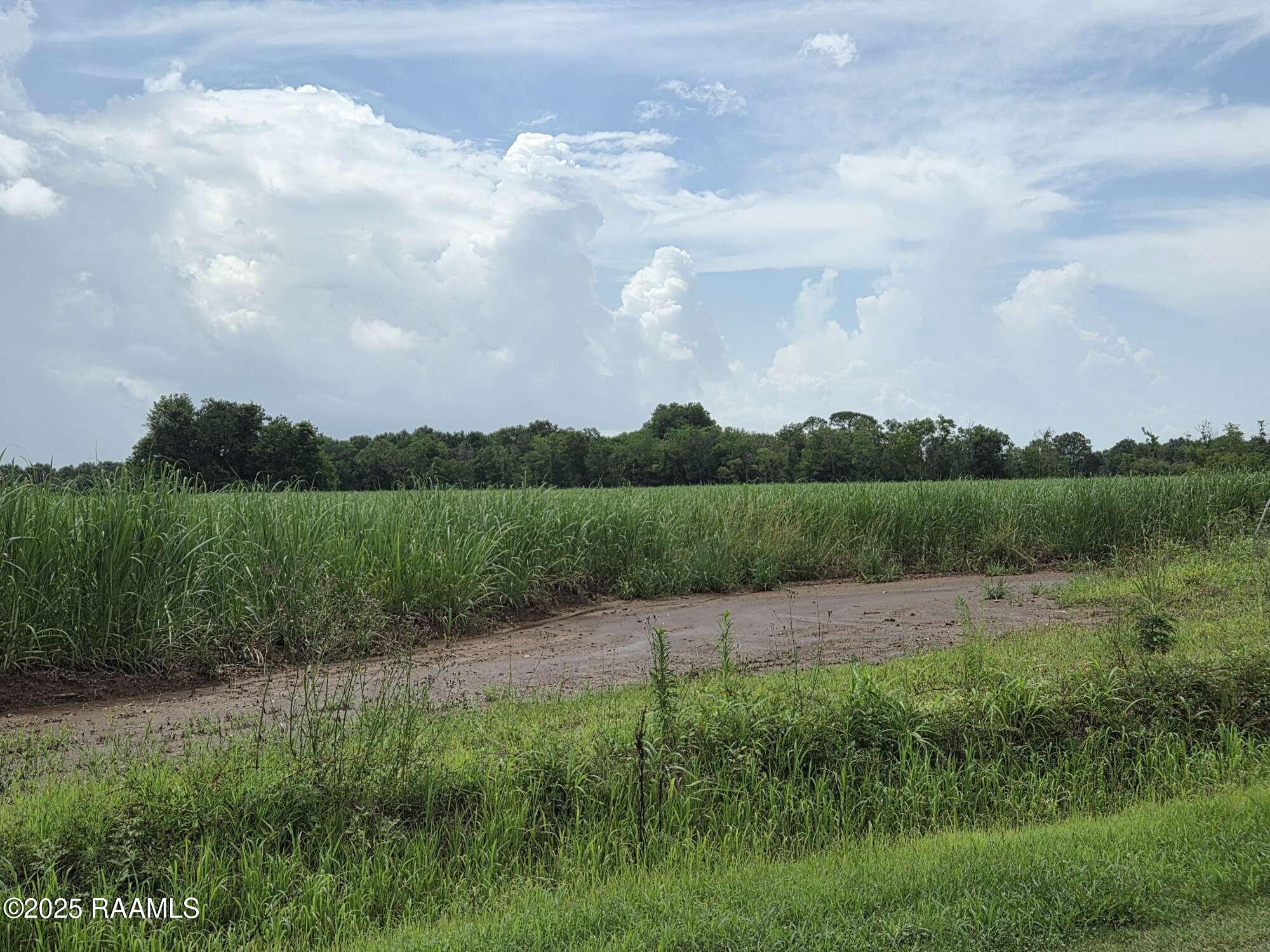 8200 Fusilier Road Maurice, LA 70555 - Photo 15 of 16 Compress_20250617_151629_9112