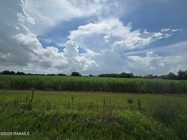 $785,850 | 8200 Fusilier Road, Maurice, LA 70555