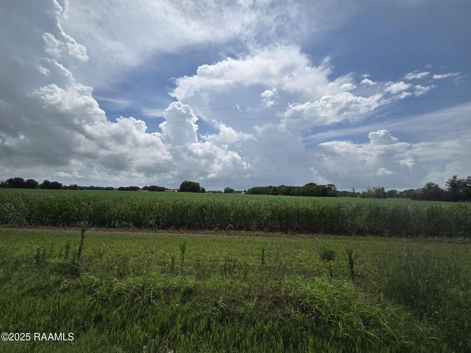 8200 Fusilier Road Maurice, LA 70555 - Photo 3 of 16 1