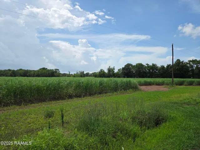 $785,850 | 8200 Fusilier Road, Maurice, LA 70555