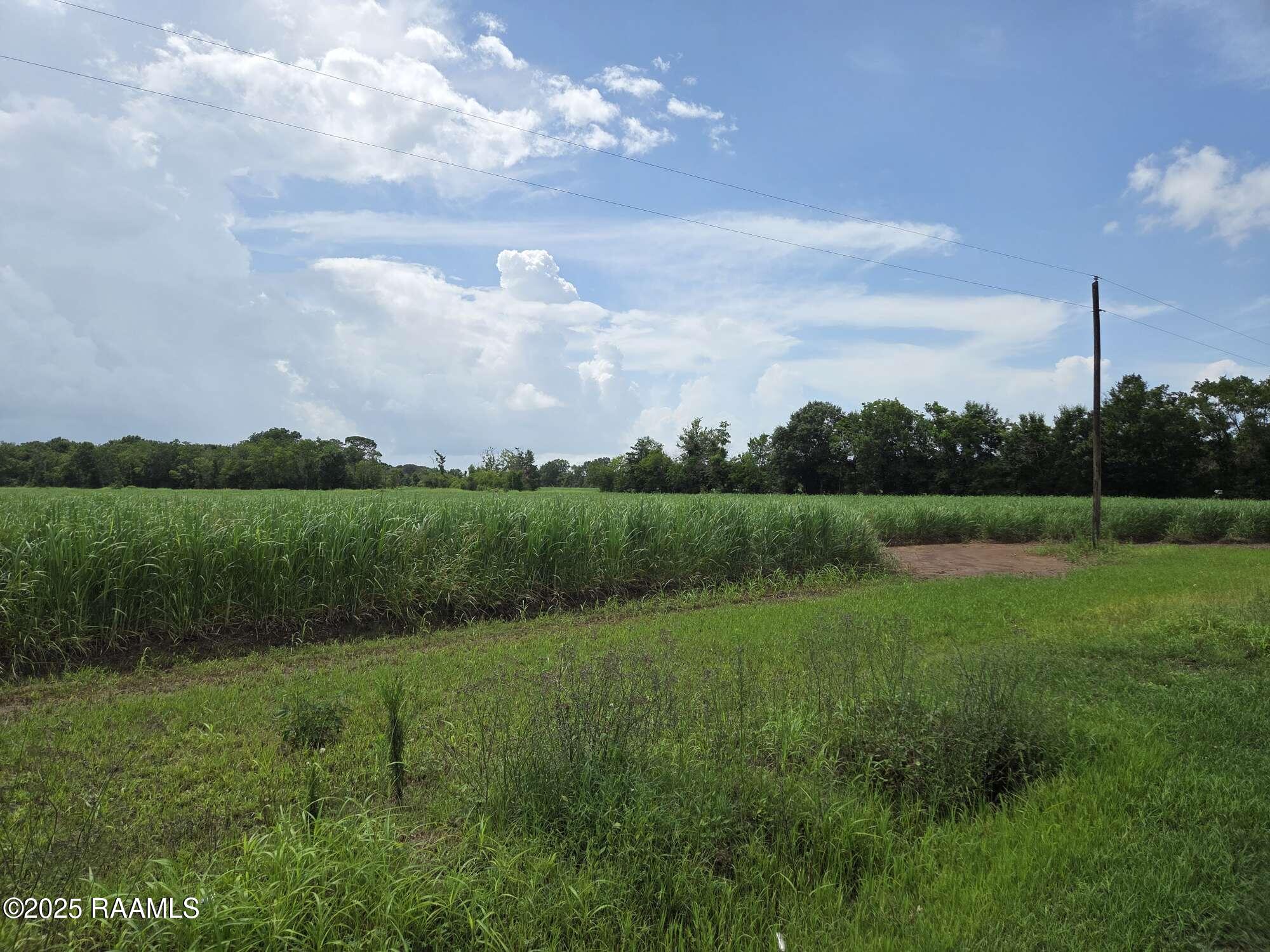 8200 Fusilier Road Maurice, LA 70555 - Photo 4 of 16 2