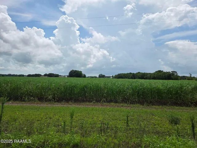 $785,850 | 8200 Fusilier Road, Maurice, LA 70555