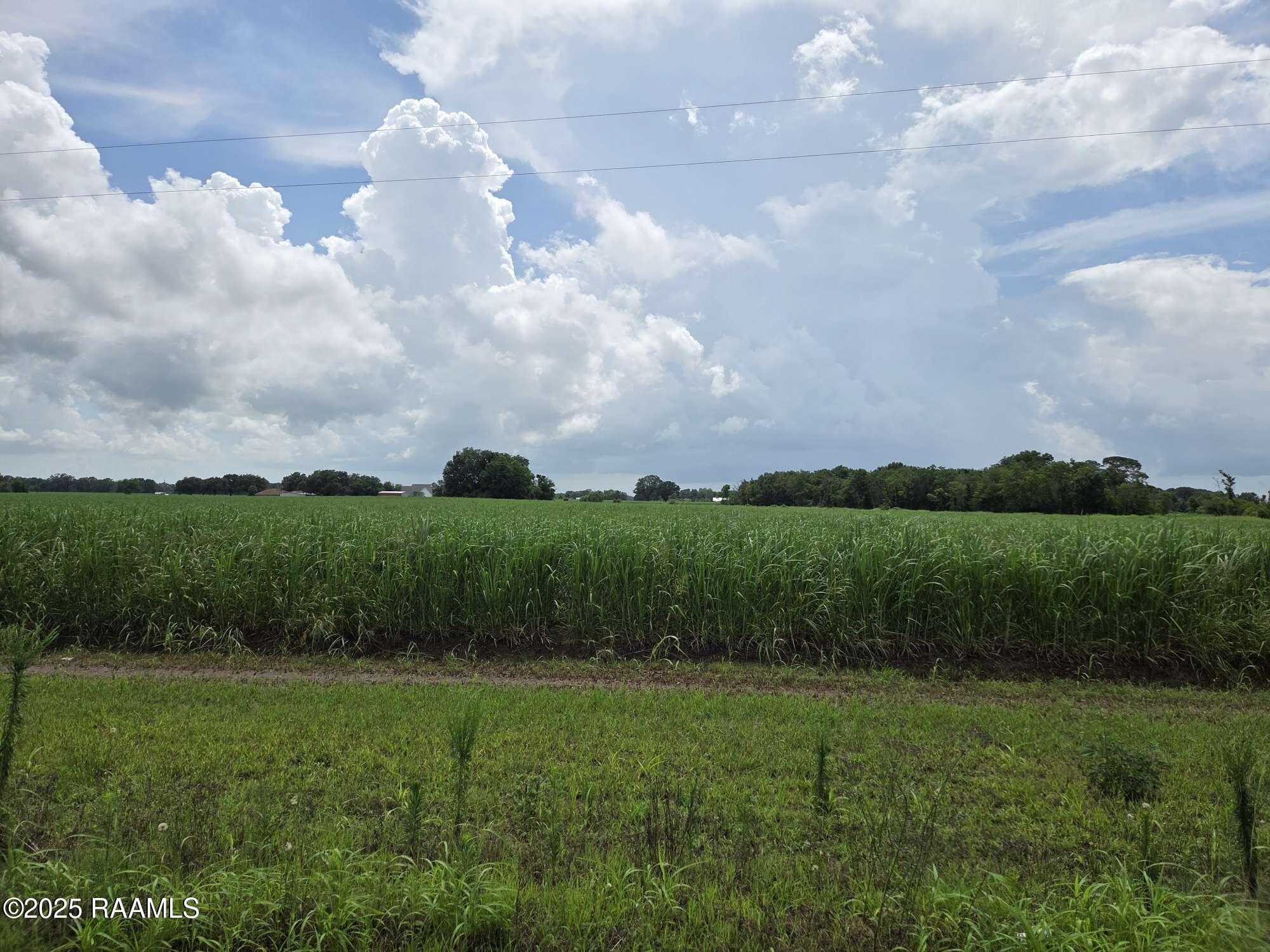 8200 Fusilier Road Maurice, LA 70555 - Photo 5 of 16 3