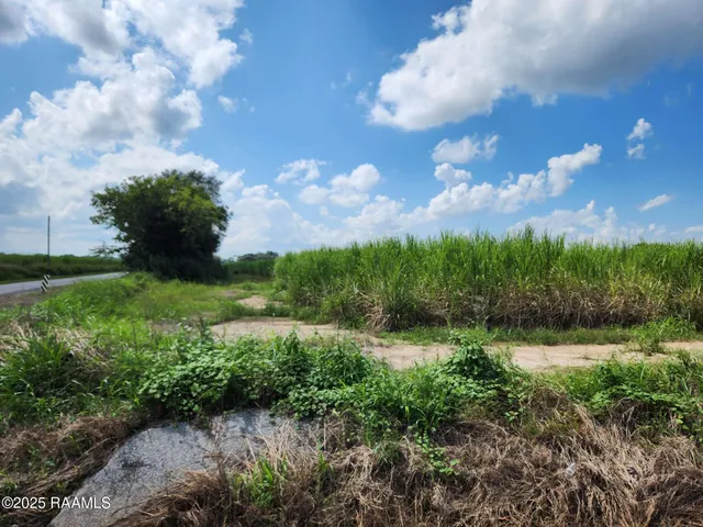 $785,850 | 8200 Fusilier Road, Maurice, LA 70555