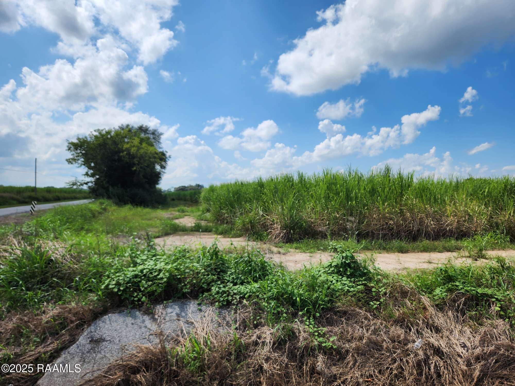 8200 Fusilier Road Maurice, LA 70555 - Photo 6 of 16 4