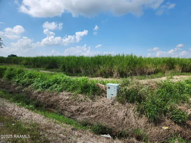 $785,850 | 8200 Fusilier Road, Maurice, LA 70555