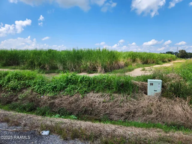 $785,850 | 8200 Fusilier Road, Maurice, LA 70555