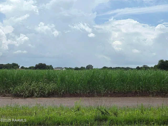 $785,850 | 8200 Fusilier Road, Maurice, LA 70555