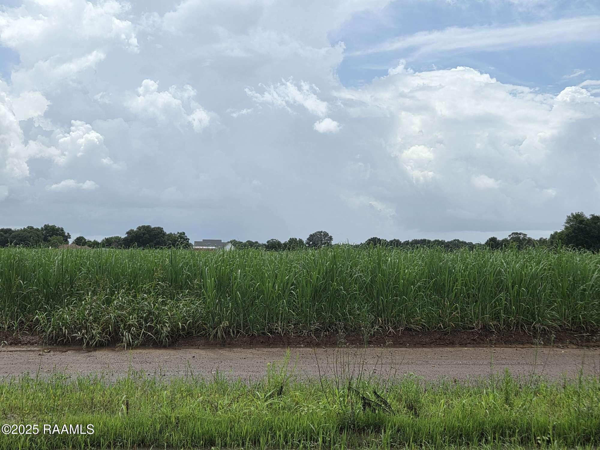 8200 Fusilier Road Maurice, LA 70555 - Photo 9 of 16 7