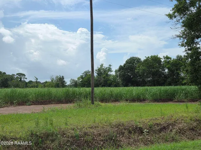 $785,850 | 8200 Fusilier Road, Maurice, LA 70555