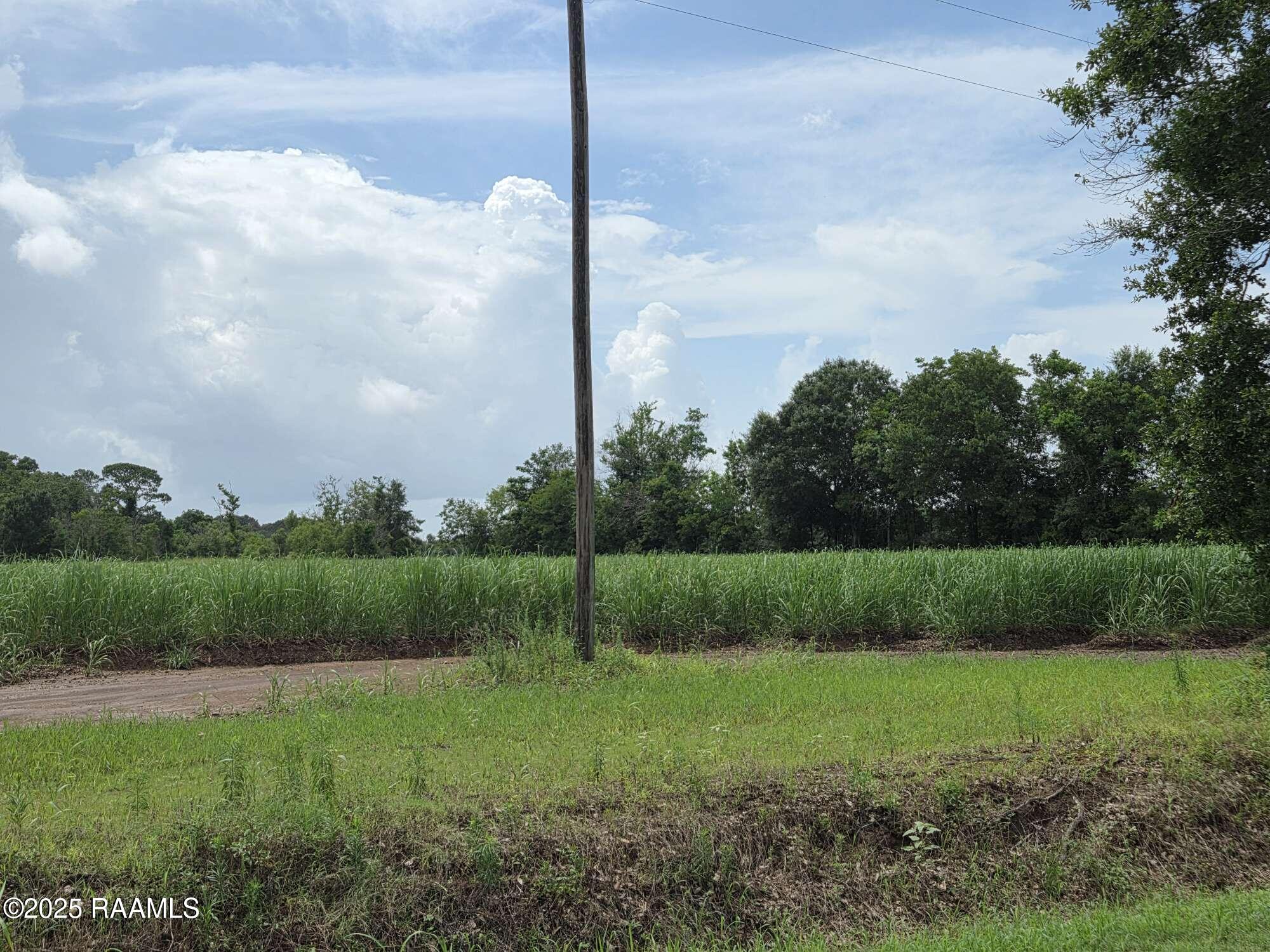 8200 Fusilier Road Maurice, LA 70555 - Photo 10 of 16 8