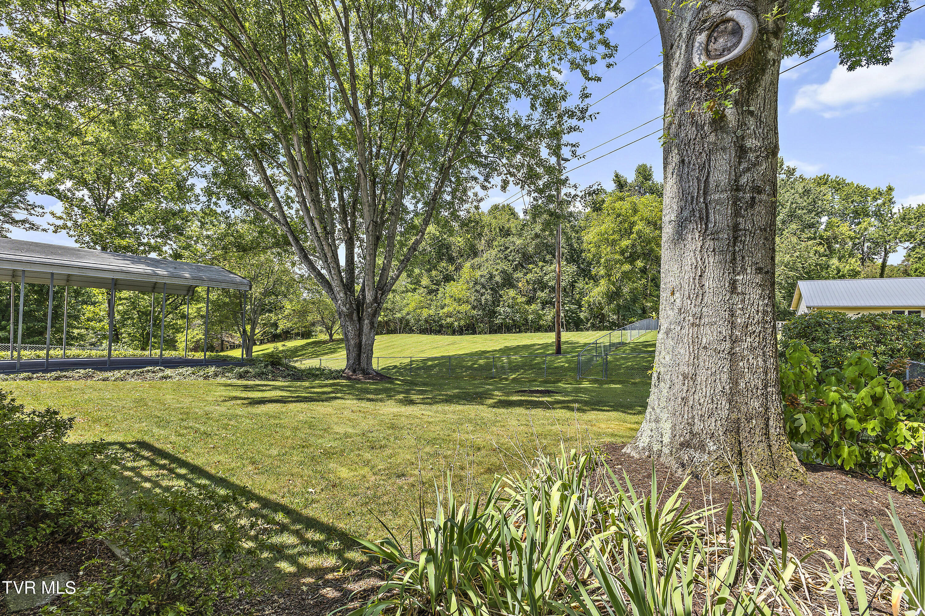 613 John Green Road Jonesborough, TN 37659 - Photo 56 of 69 128A2594