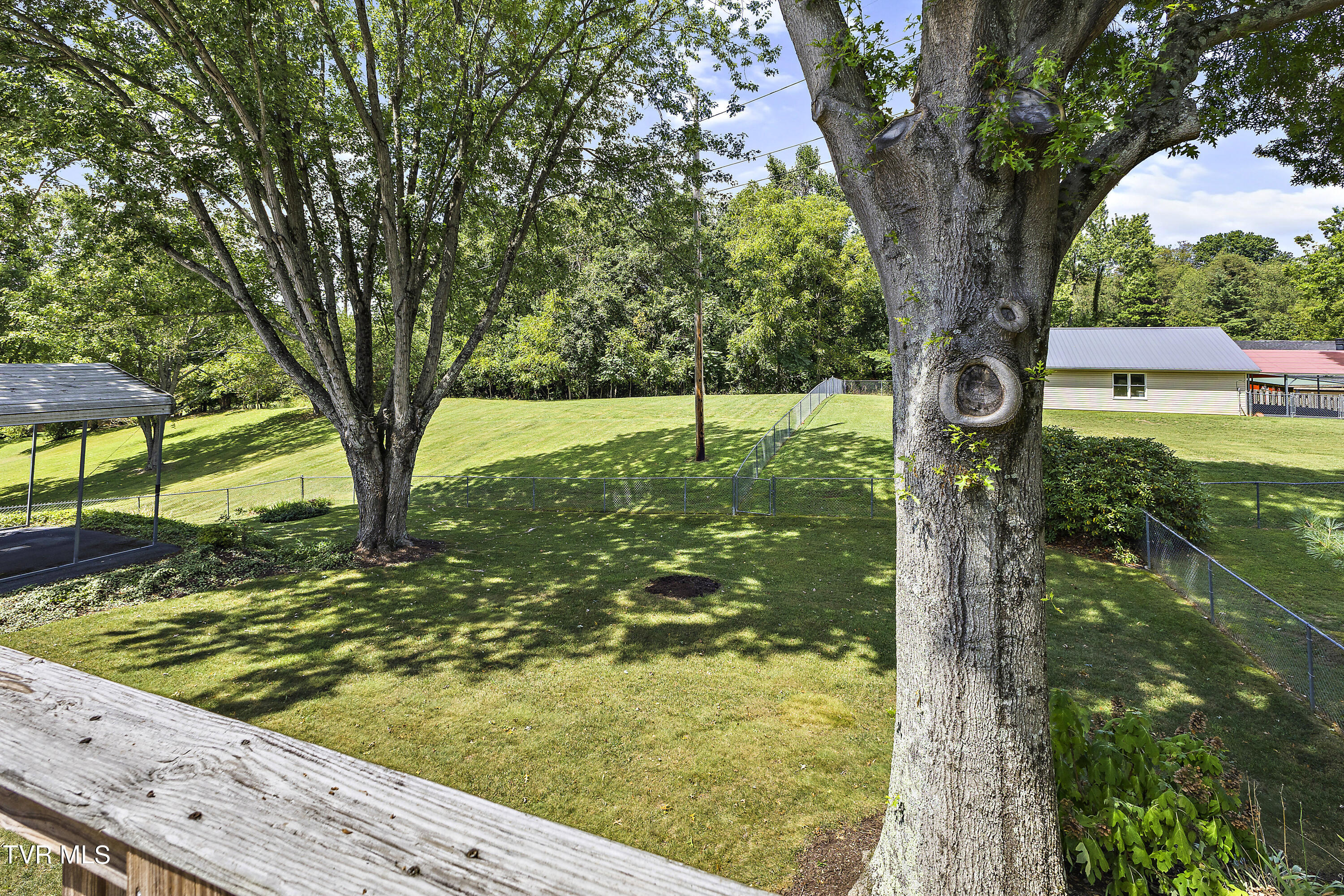 613 John Green Road Jonesborough, TN 37659 - Photo 57 of 69 128A2606 - Copy