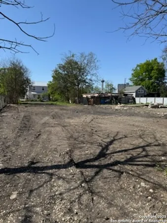 a view of a dry yard with trees
