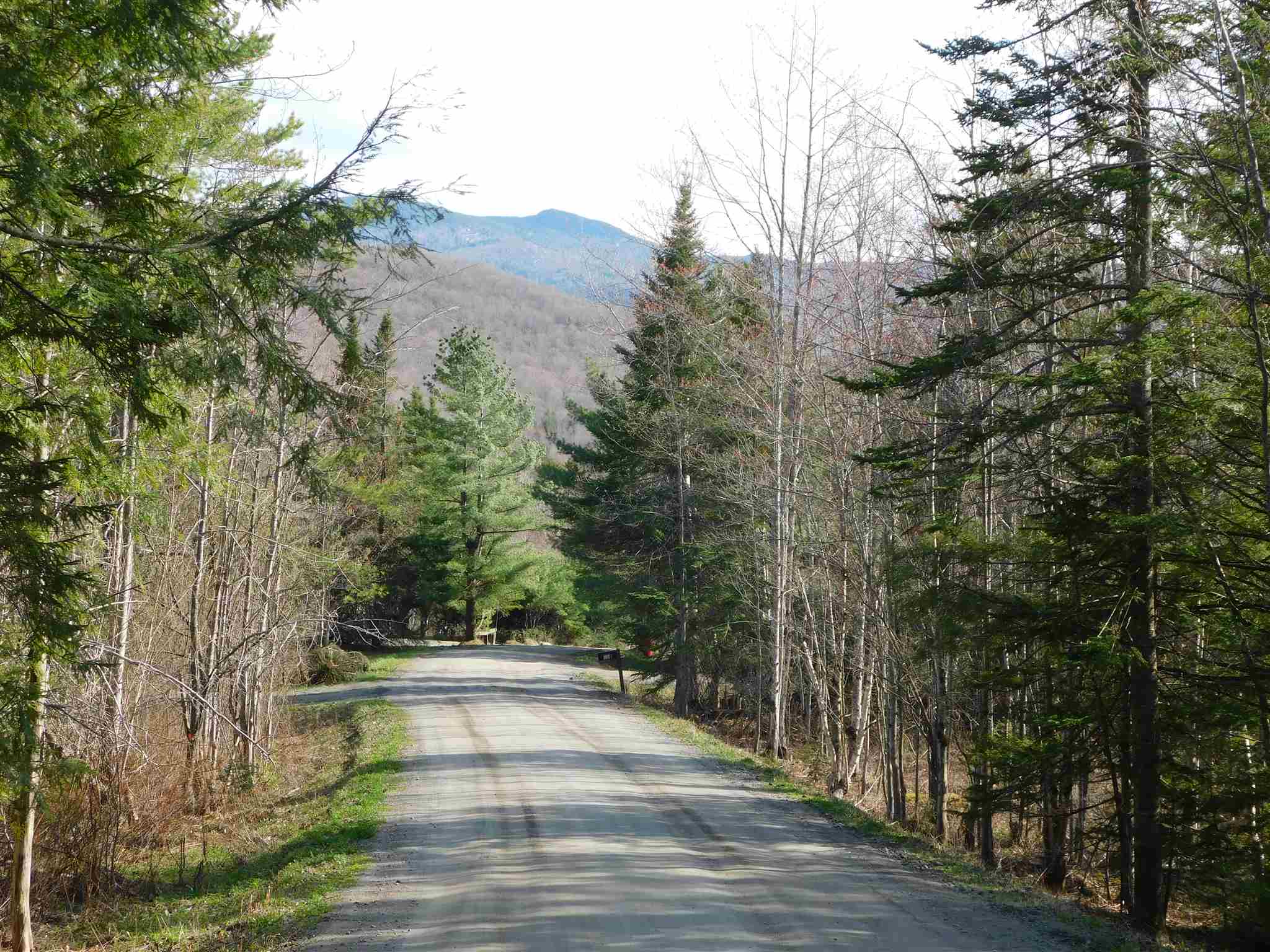 317 Christmas Road Montgomery, VT 05471 - Photo 2 of 40