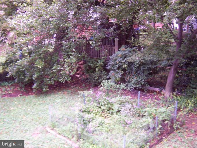 9904 Renfrew Road Silver Spring, MD 20901 - Photo 6 of 15 a view of a yard