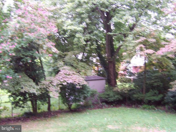 9904 Renfrew Road Silver Spring, MD 20901 - Photo 8 of 15 a front view of a house with a tree
