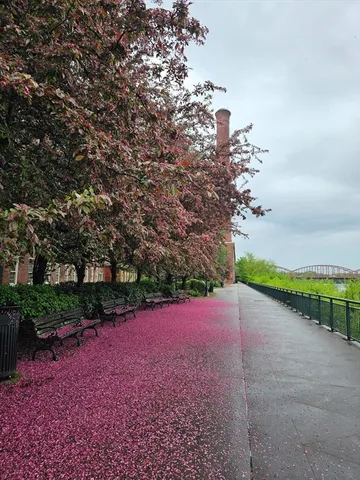 $2,975 | 52 Lawrence Drive, Unit M408, Lowell, MA 01854