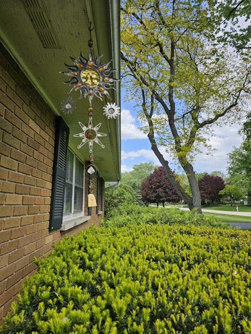 813 Considine Road Geneva, IL 60134 - Photo 3 of 67