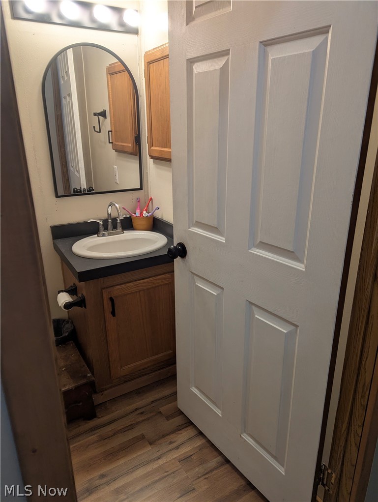 17960 Raven Road Salesville, OH 43778 - Photo 22 of 27 Bathroom featuring wood-finish flooring, a vanity with a laminate countertop and integrated sink, a wall-mounted mirror, and a wood-finish medicine cabinet