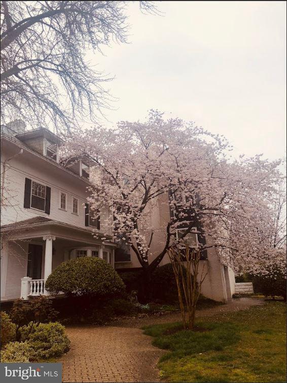 1801 Park Road Northwest, Unit 1 Washington, DC 20010 - Photo 15 of 25 Gorgeous setting and gardens!
