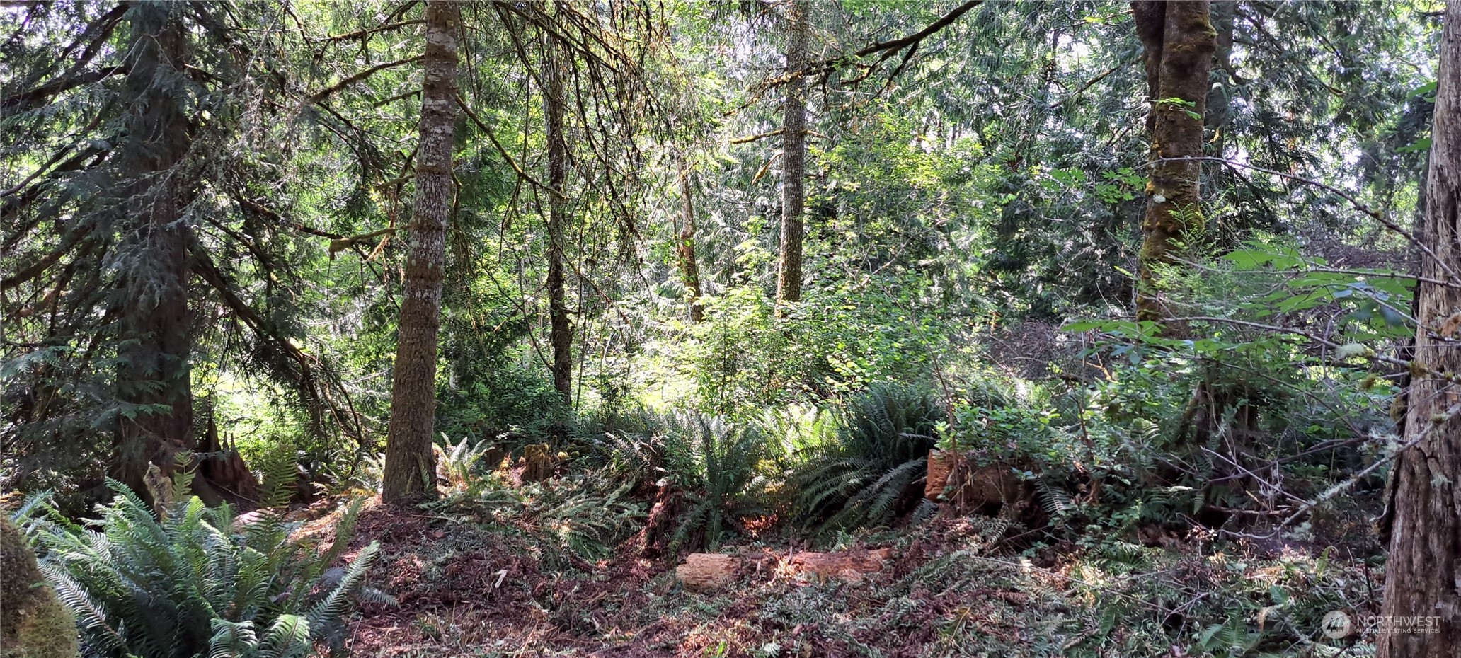 0 Loop Road Centralia, WA 98531 - Photo 2 of 7