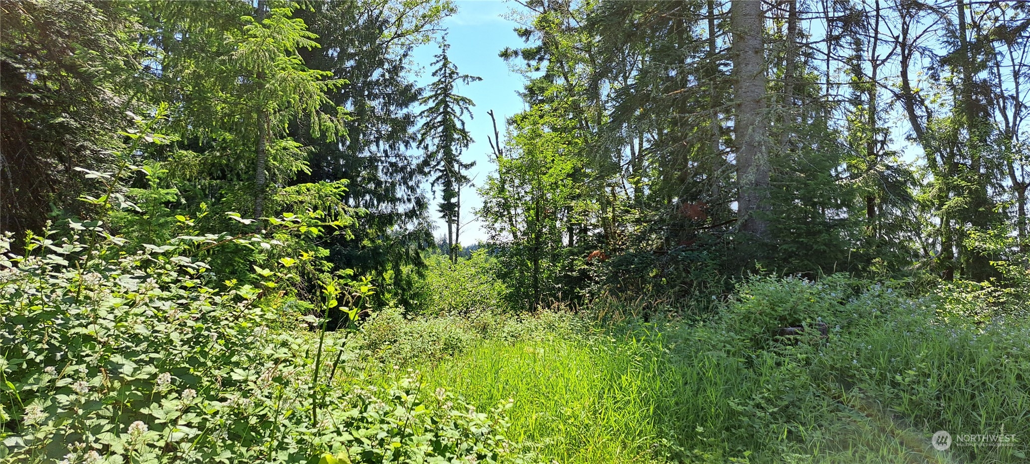 0 Loop Road Centralia, WA 98531 - Photo 7 of 7