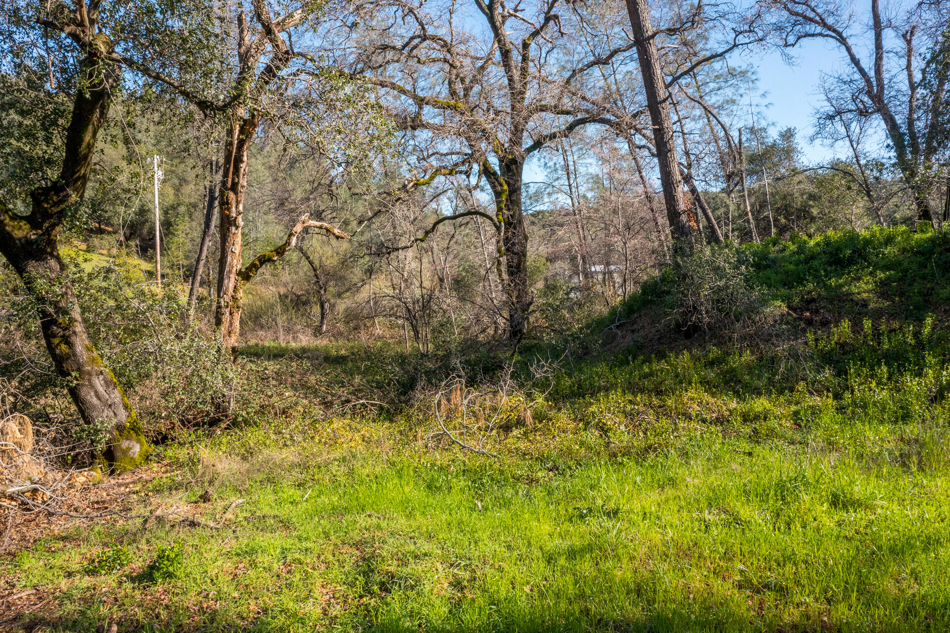 Bear Mountain Road Redding, CA 96003 - Photo 3 of 9 a view of lake view