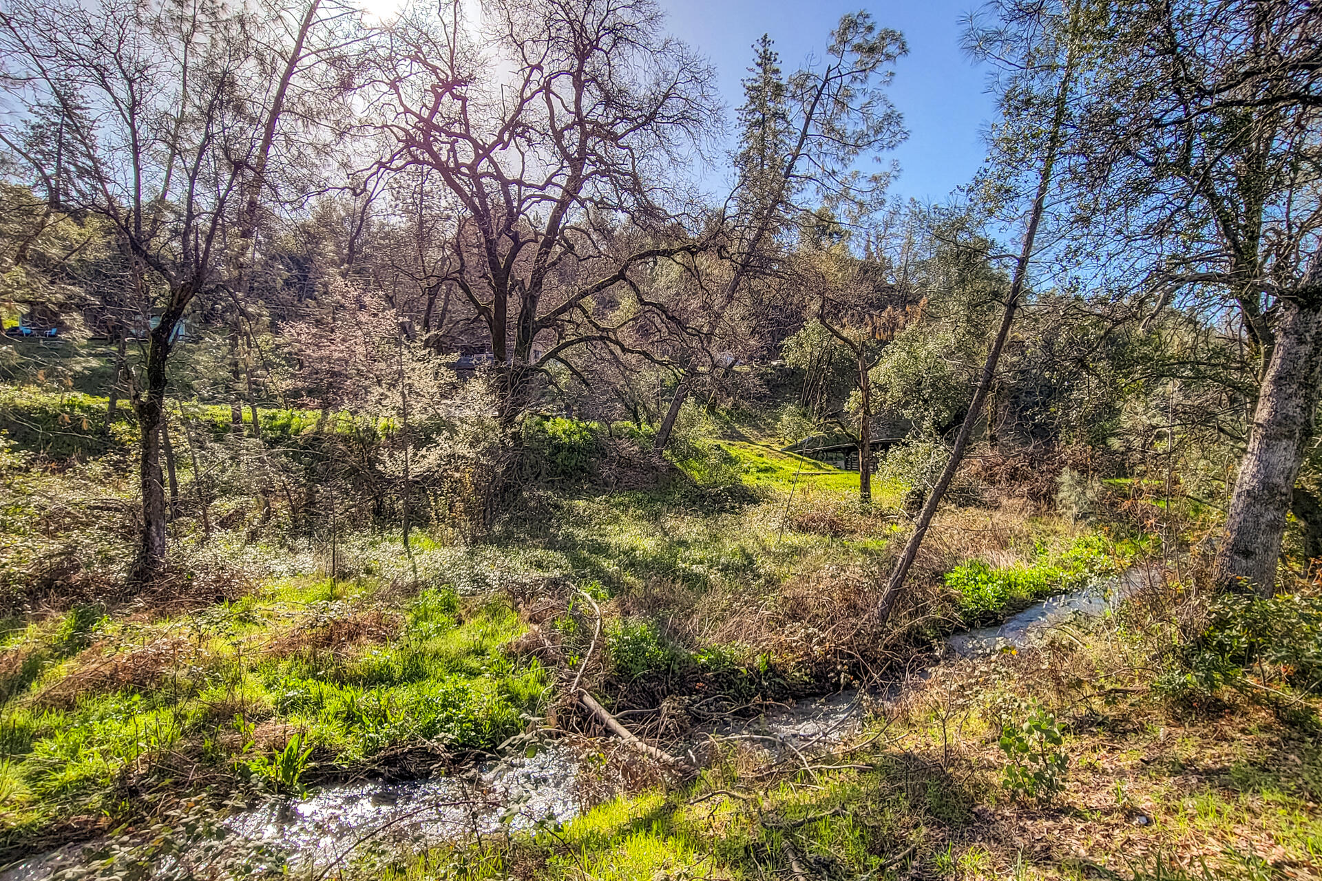 Bear Mountain Road Redding, CA 96003 - Photo 4 of 9 a view of a yard