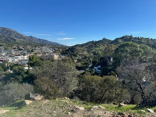 a view of a mountain with a tree in the background