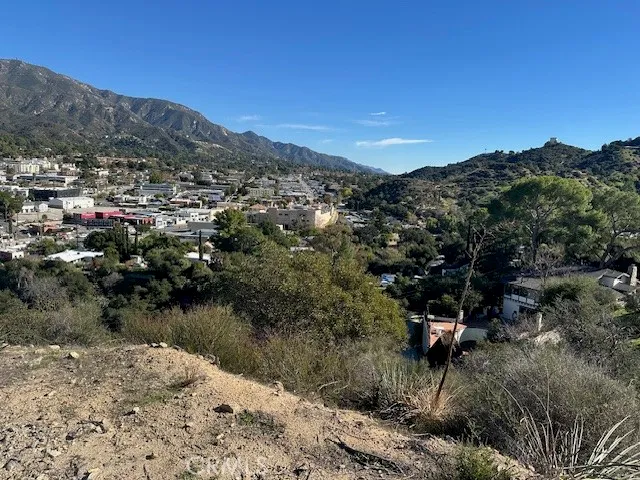 a view of a forest with a mountain in the background