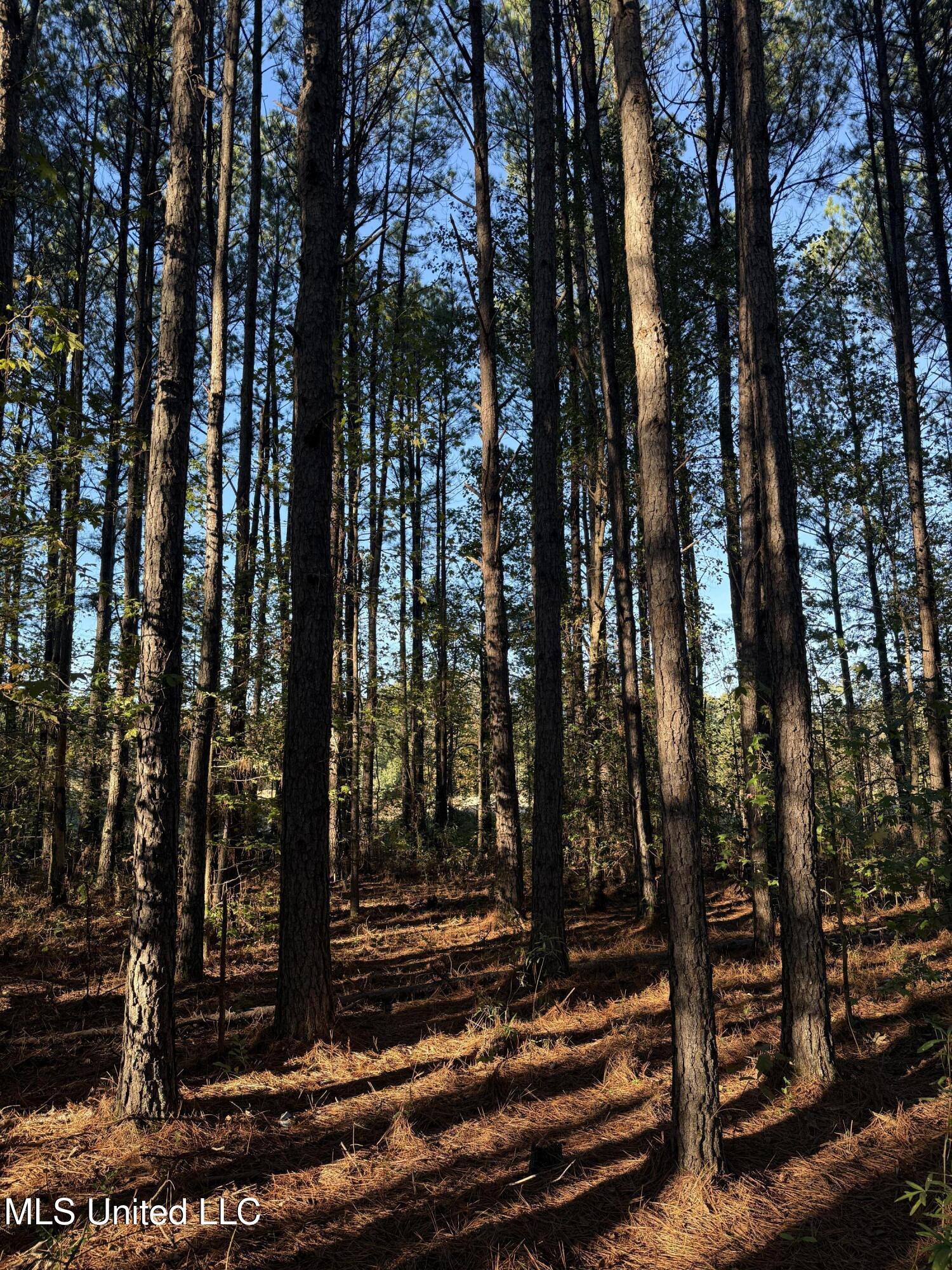 Photo Nov 12 2024, 3 35 37 PM Main Photo