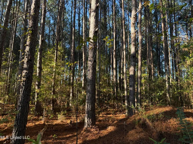 $69,500 | Factory Road, Eupora, MS 39744