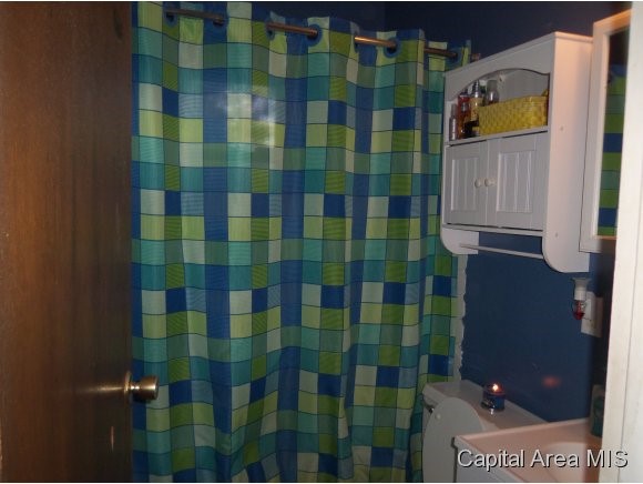 2428 East Griffiths Avenue Springfield, IL 62702 - Photo 14 of 18