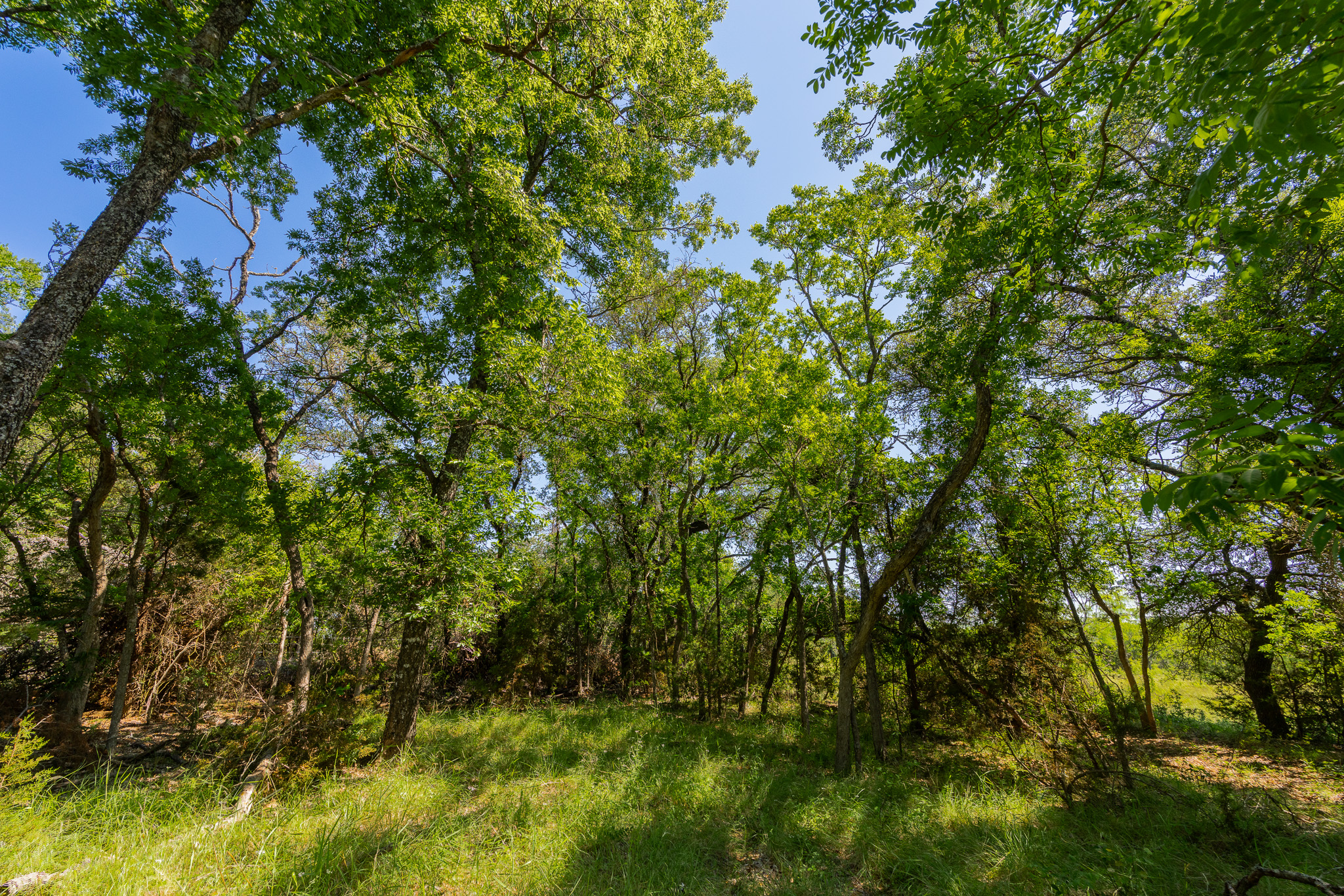 180 Rolling Pond Ranch Road Purmela, TX 76566 - Photo 8 of 21