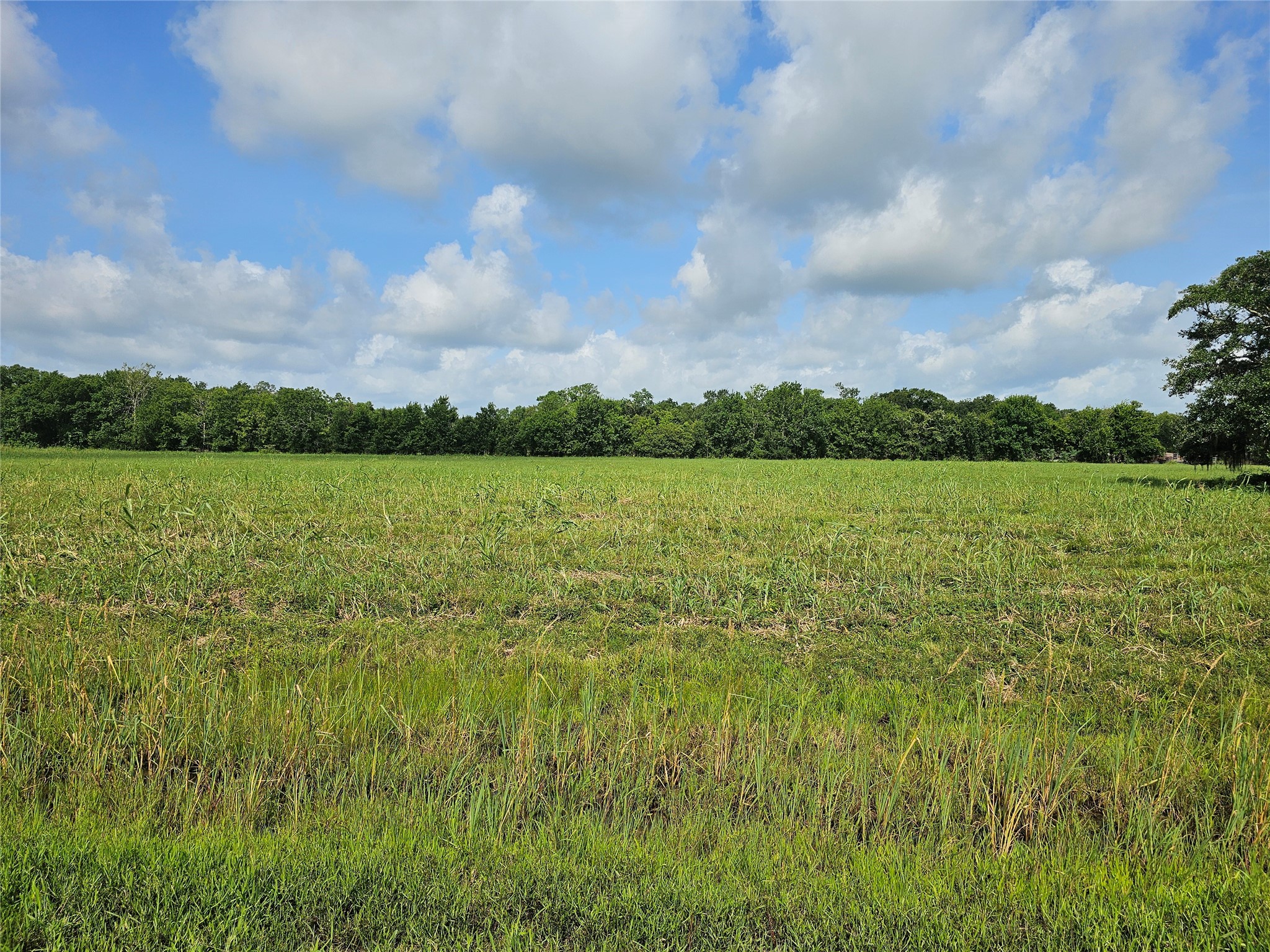 400 Pony Trail Angleton, TX 77515 - Photo 1 of 36 Gallery Image 1